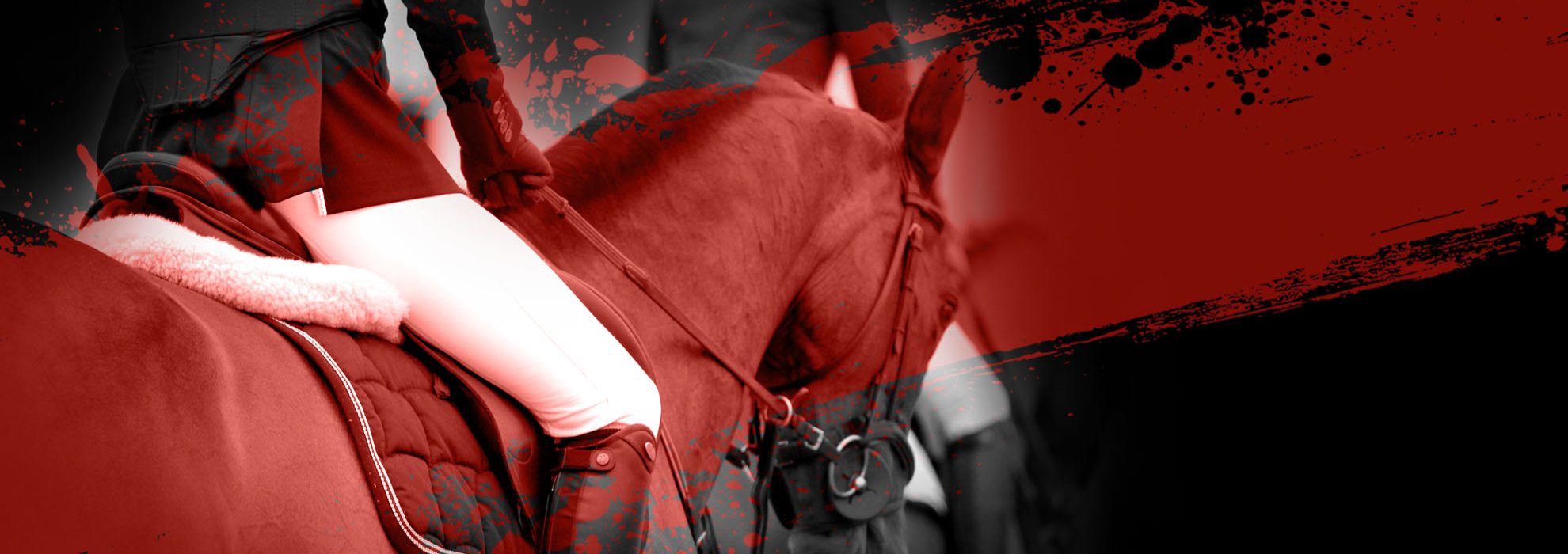 innerpagesEques copy1